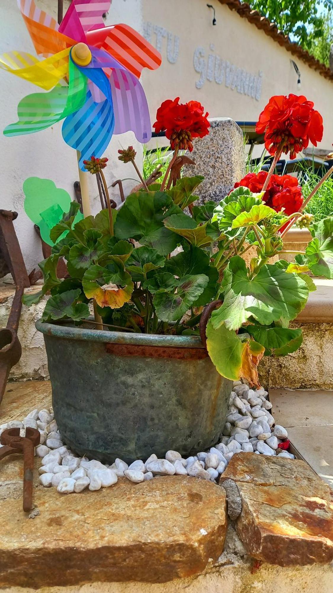 "B&B Santu Giuvanni" Fonni Exteriör bild
